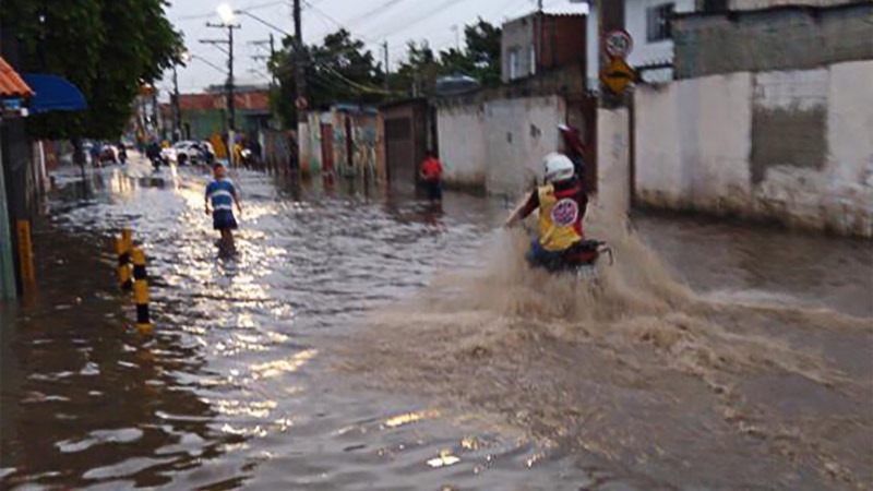 Dá pra resolver: Programa de governo de Jilmar Tatto tem as melhores propostas contra enchentes em SP